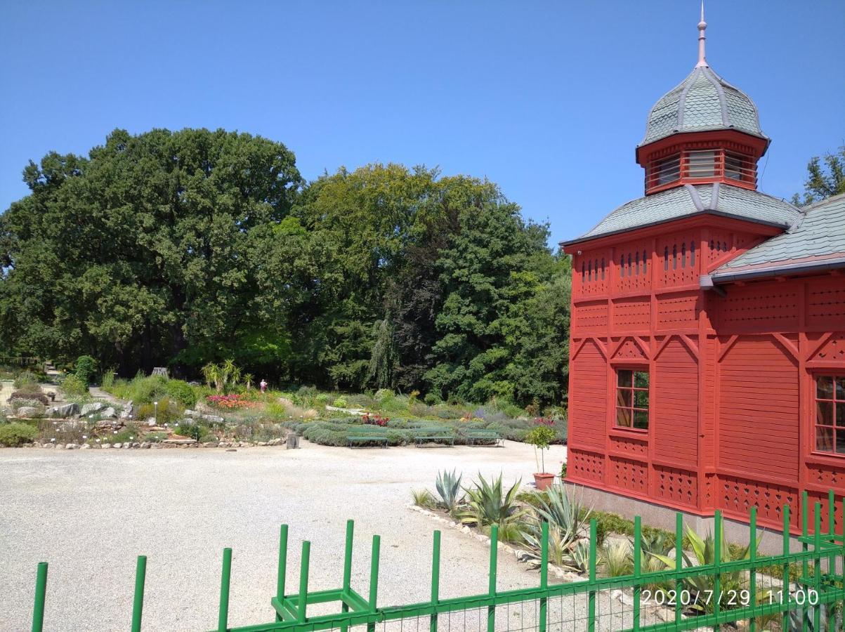 Botanical Garden